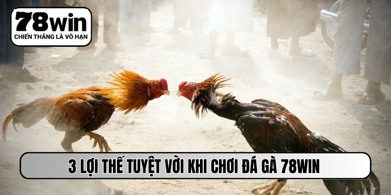3 lợi thế tuyệt vời khi chơi đá gà 78WIN