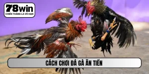 cách chơi đá gà ăn tiền