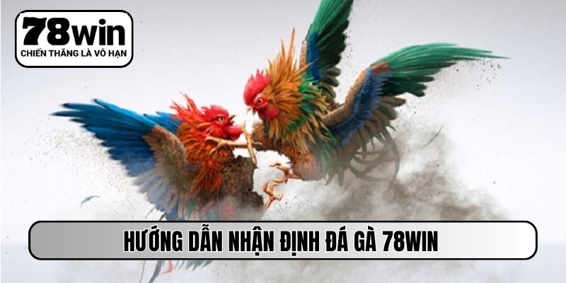 Hướng dẫn nhận định đá gà 78WIN