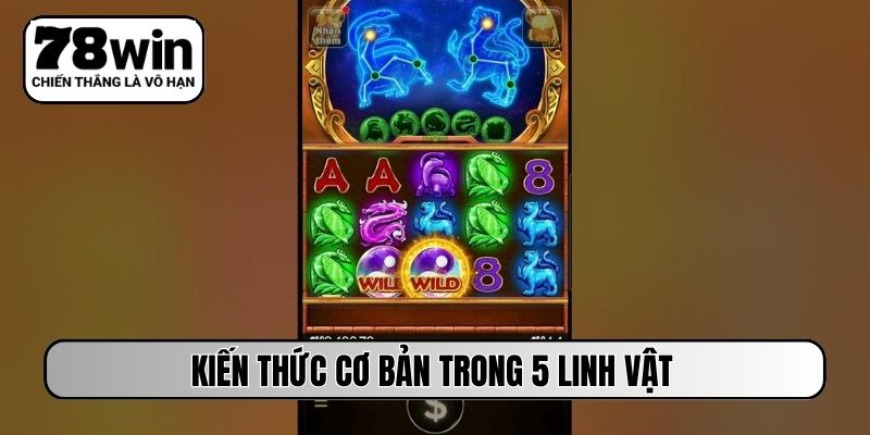 Kiến thức cơ bản trong 5 linh vật