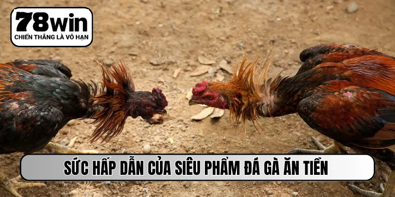 Sức hấp dẫn của siêu phẩm đá gà ăn tiền